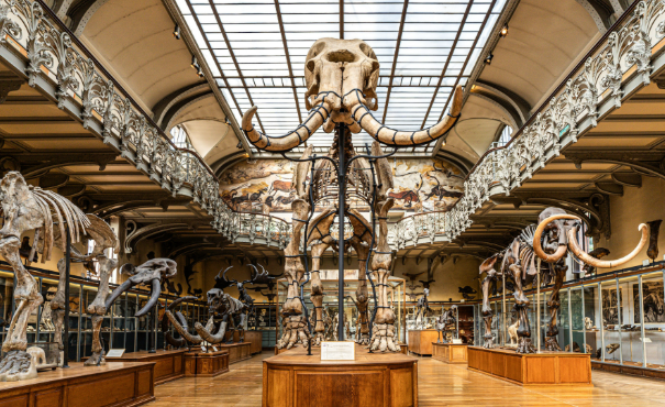 Musée National Archéologique d'Athènes, accessible PMR